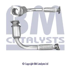 BM CATALYSTS BM80069