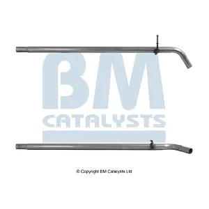BM51007 BM CATALYSTS