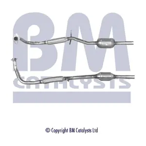 BM CATALYSTS BM80017
