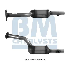 BM CATALYSTS BM91972H