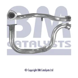 BM CATALYSTS BM70405