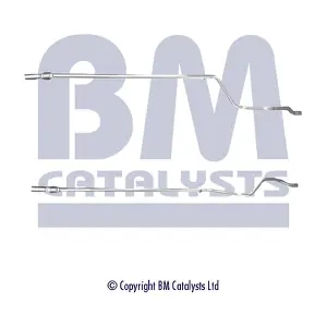 BM CATALYSTS BM50379