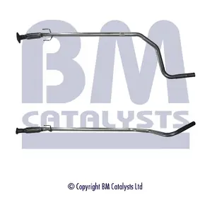 BM50101 BM CATALYSTS