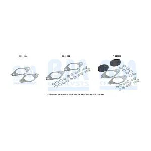 BM CATALYSTS FK50168