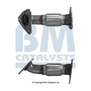 BM50787 BM CATALYSTS