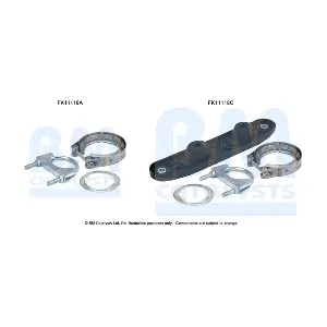 FK11118 BM CATALYSTS
