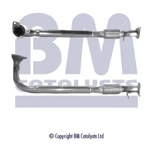 BM CATALYSTS BM70149