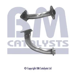 BM CATALYSTS BM70170