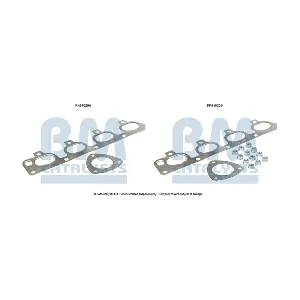 FK91020 BM CATALYSTS