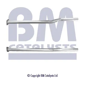 BM CATALYSTS BM50358