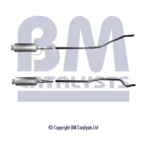 BM11019 BM CATALYSTS