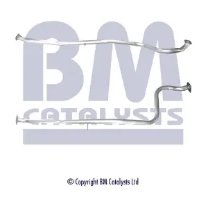 BM CATALYSTS BM50333