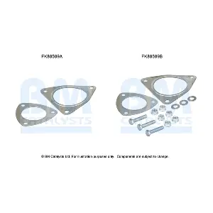 FK80509 BM CATALYSTS