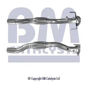 BM CATALYSTS BM50194