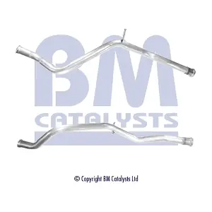 BM CATALYSTS BM50465