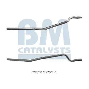 BM CATALYSTS BM50078