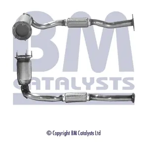 BM CATALYSTS BM90713H