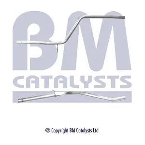 (BM50366) BM CATALYSTS