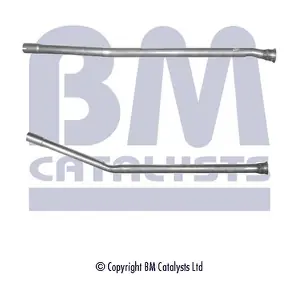 BM CATALYSTS BM50035