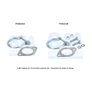 FK80234 BM CATALYSTS