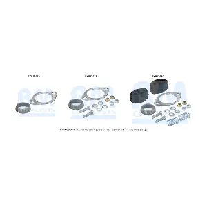 FK91743 BM CATALYSTS