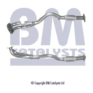 BM CATALYSTS BM70301