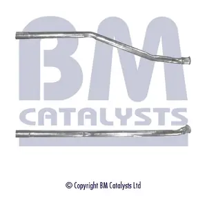 BM CATALYSTS BM50045