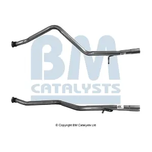 BM CATALYSTS BM50033