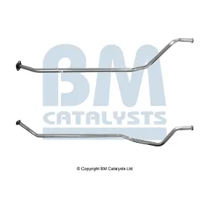 BM CATALYSTS BM50088