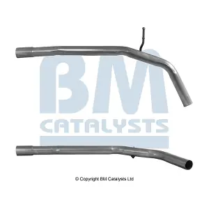 (BM51001) BM CATALYSTS