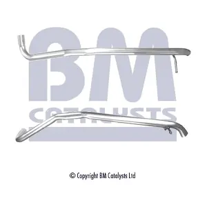 BM CATALYSTS BM50478
