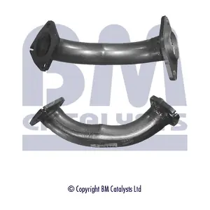 BM CATALYSTS BM70485