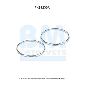 BM CATALYSTS FK91230