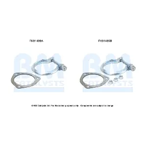 BM CATALYSTS FK91499