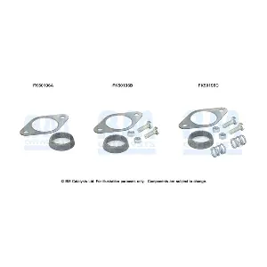 BM CATALYSTS FK50196