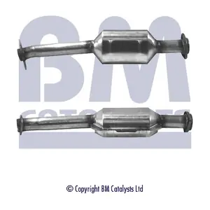 BM CATALYSTS BM90248