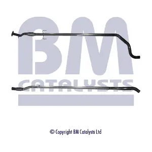 BM CATALYSTS BM50129