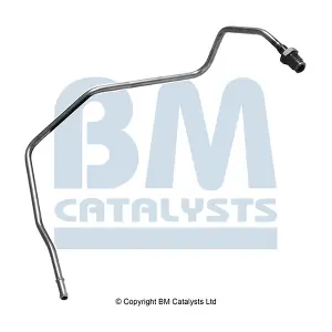 PP11103A BM CATALYSTS