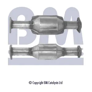 BM CATALYSTS BM80001H