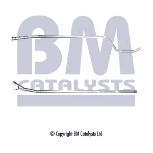 BM50359 BM CATALYSTS
