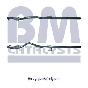 BM CATALYSTS BM50100