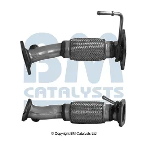 BM50455 BM CATALYSTS