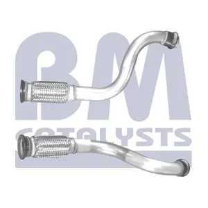 BM CATALYSTS BM50648