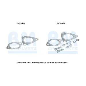 BM CATALYSTS FK70447