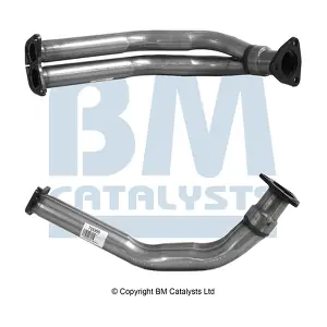 BM70066 BM CATALYSTS