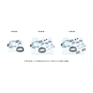 FK50008 BM CATALYSTS