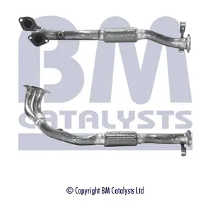 BM CATALYSTS BM70273