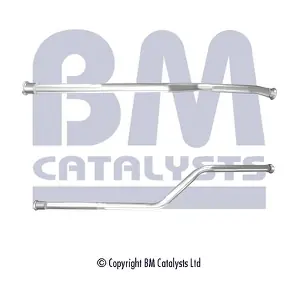 BM CATALYSTS BM50542