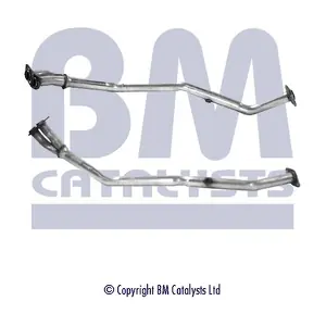 BM CATALYSTS BM70123