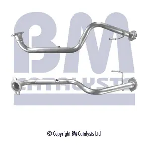 BM CATALYSTS BM50271